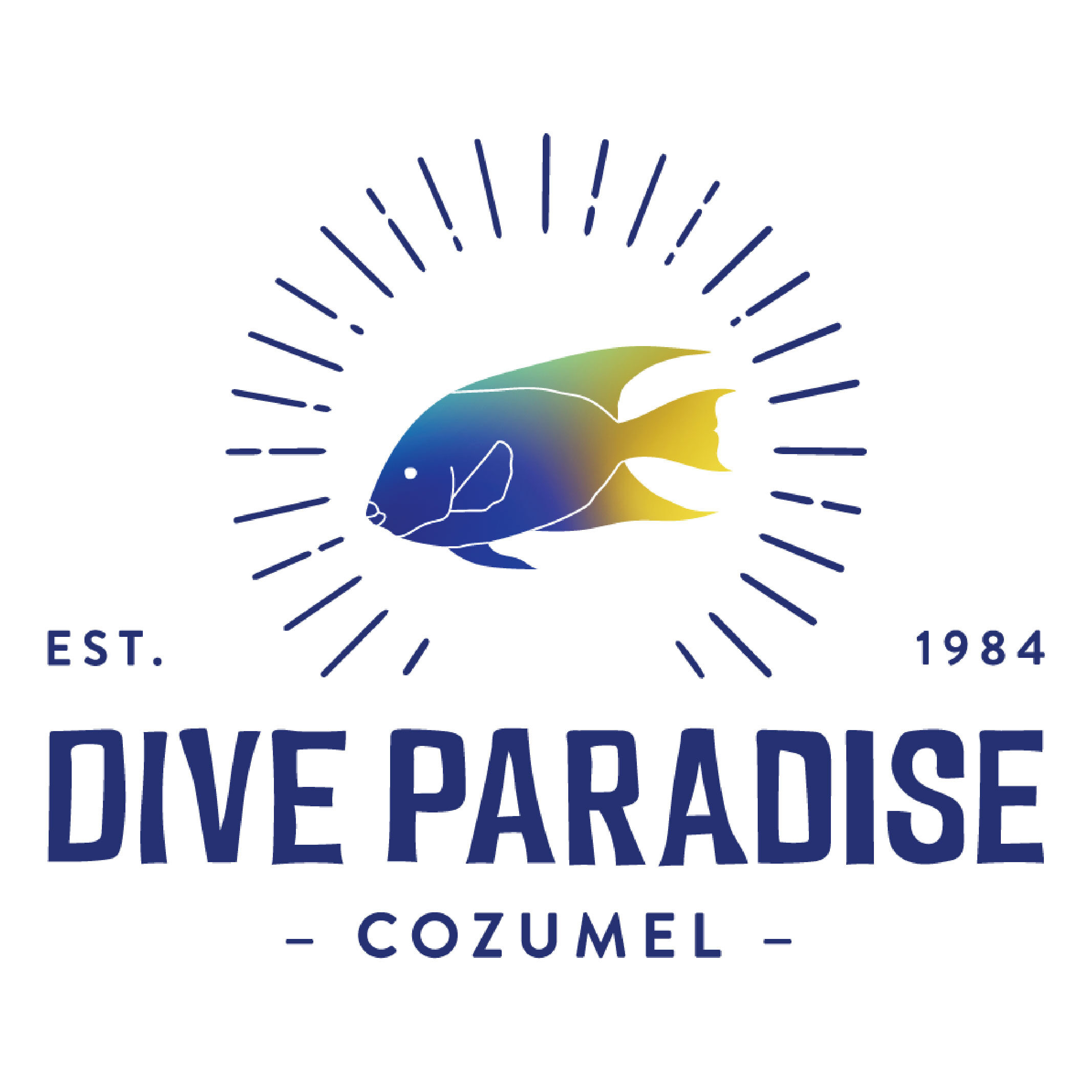Логотип Dive Paradise